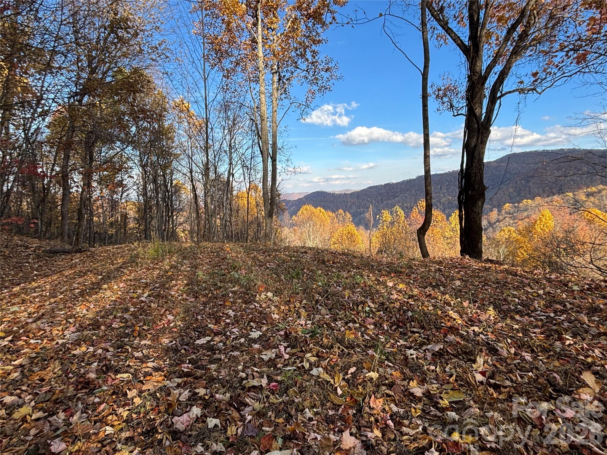 (North Lot) Meadow Fork Road Hot Springs NC 28743