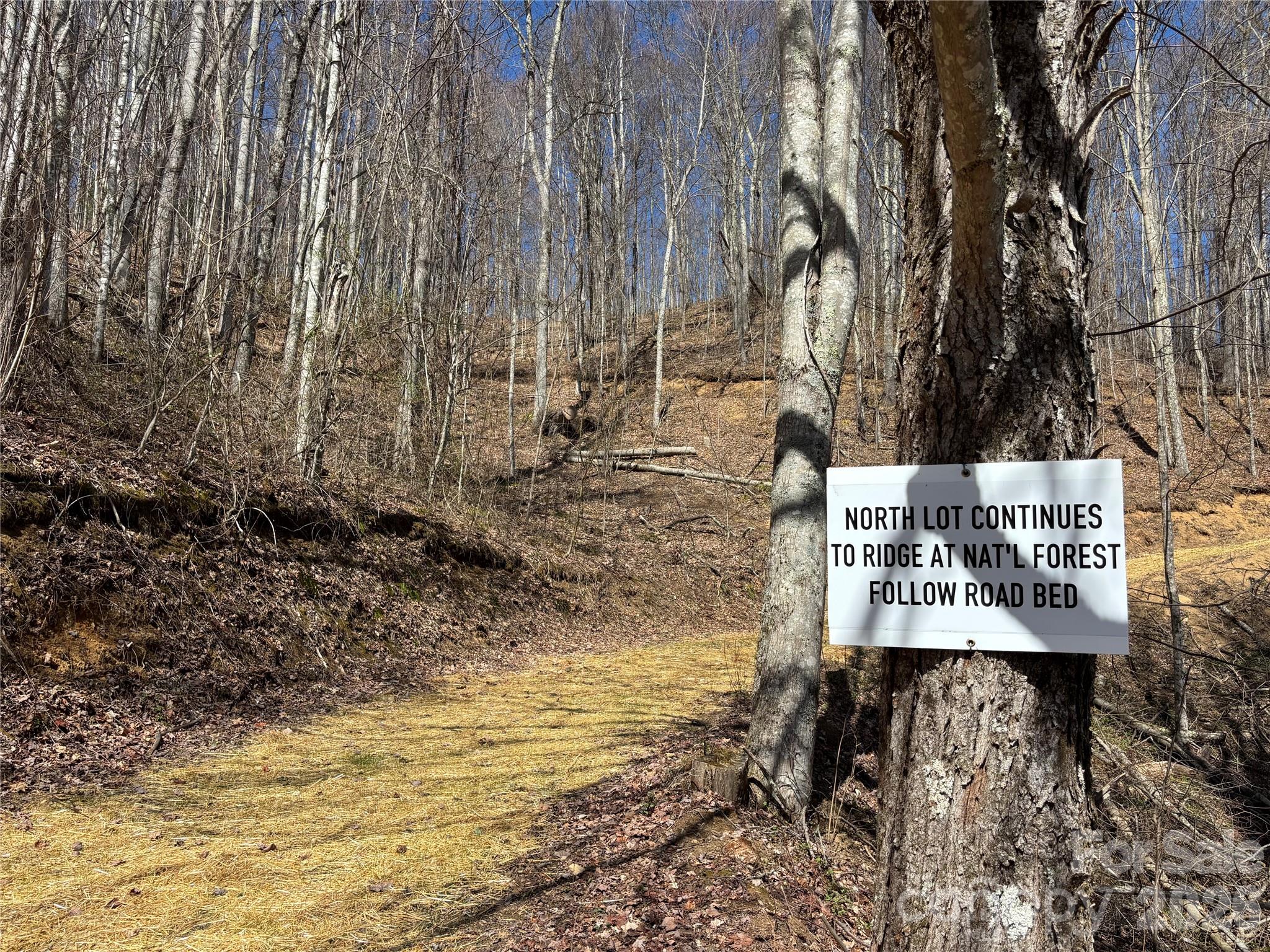 (North Lot) Meadow Fork Road Hot Springs NC 28743