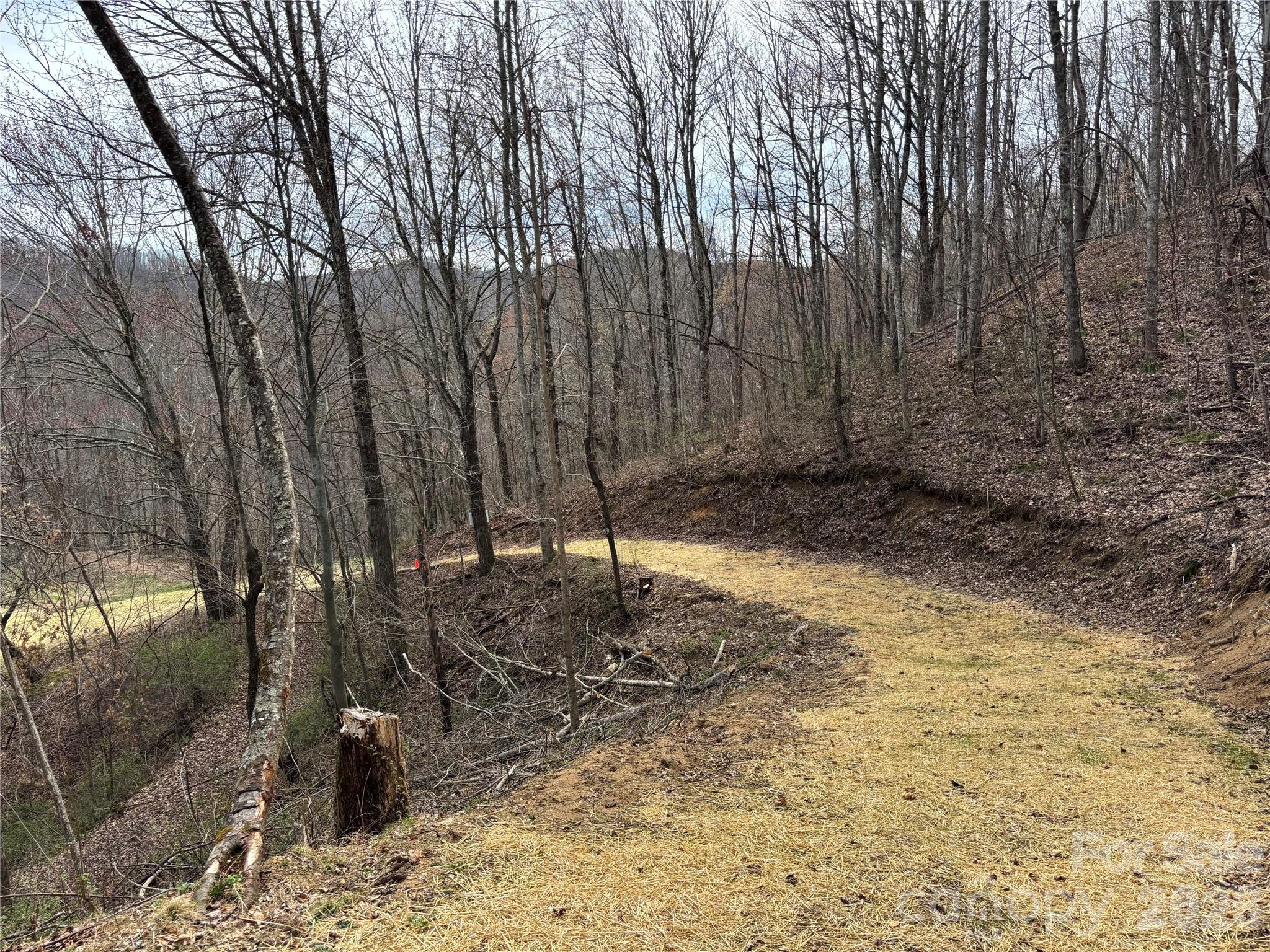 (North Lot) Meadow Fork Road Hot Springs NC 28743