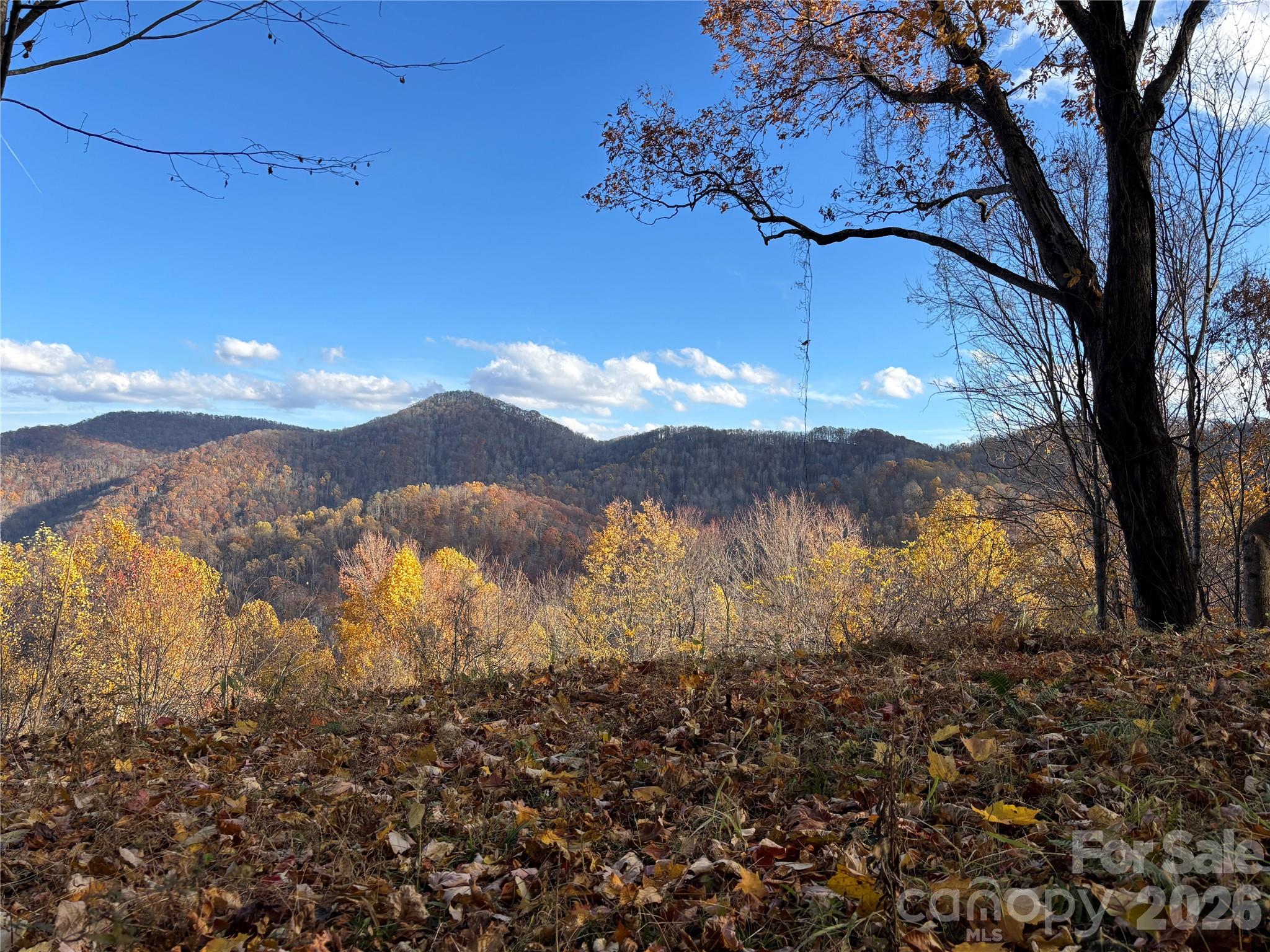 (North Lot) Meadow Fork Road Hot Springs NC 28743