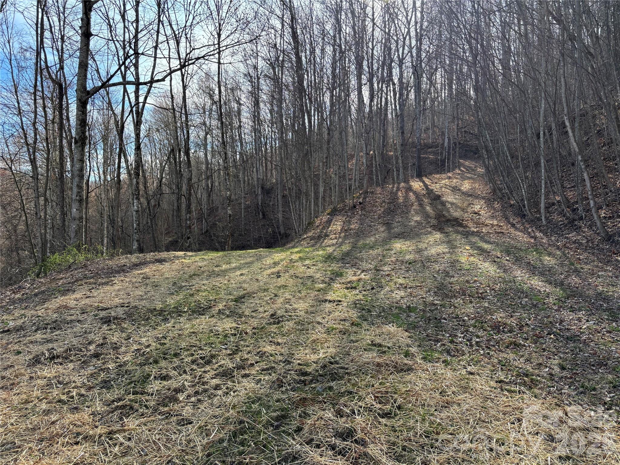 (North Lot) Meadow Fork Road Hot Springs NC 28743
