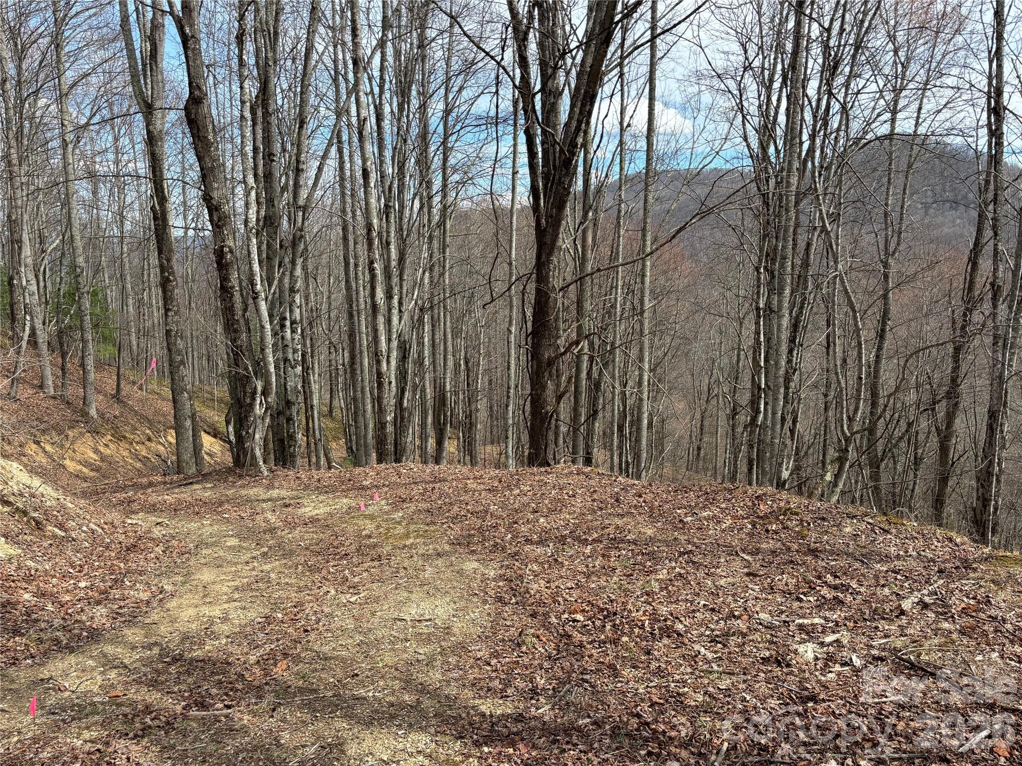 (North Lot) Meadow Fork Road Hot Springs NC 28743