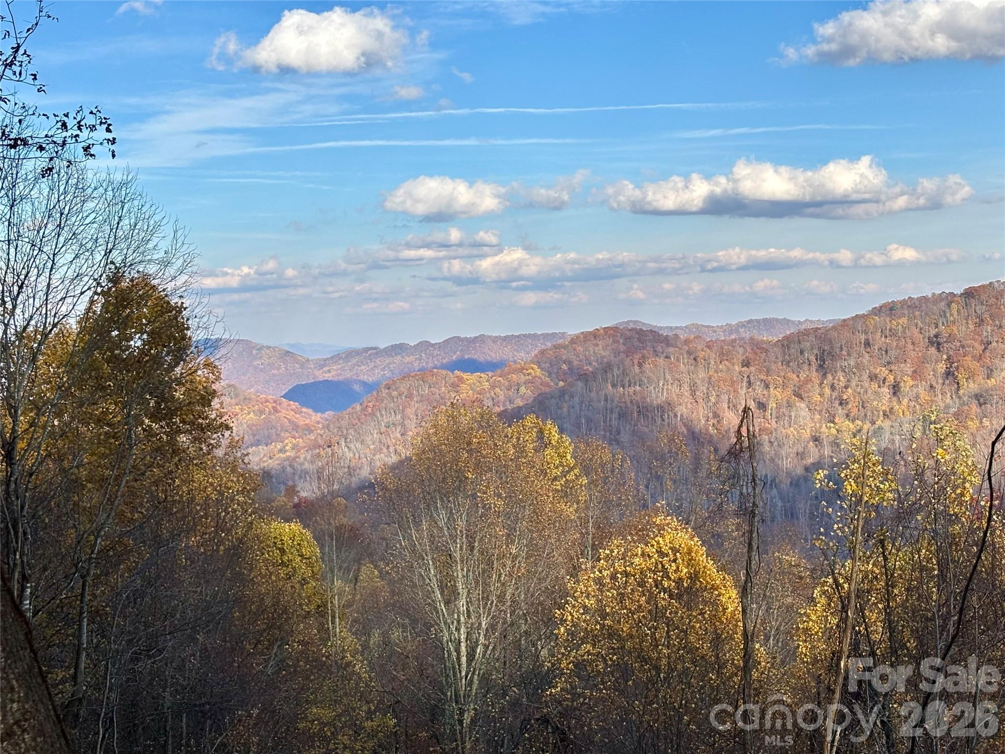 (North Lot) Meadow Fork Road Hot Springs NC 28743