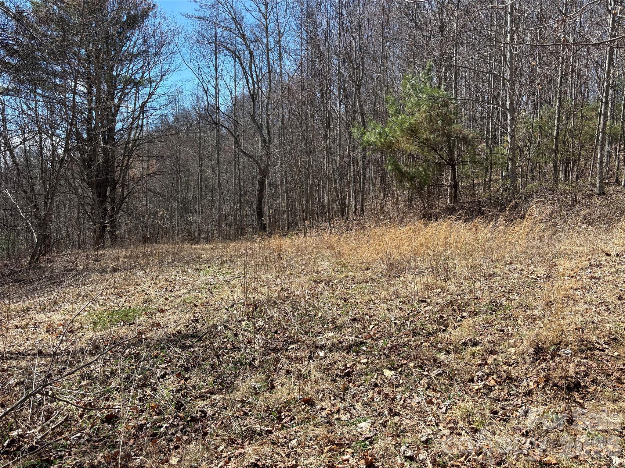 (North Lot) Meadow Fork Road Hot Springs NC 28743