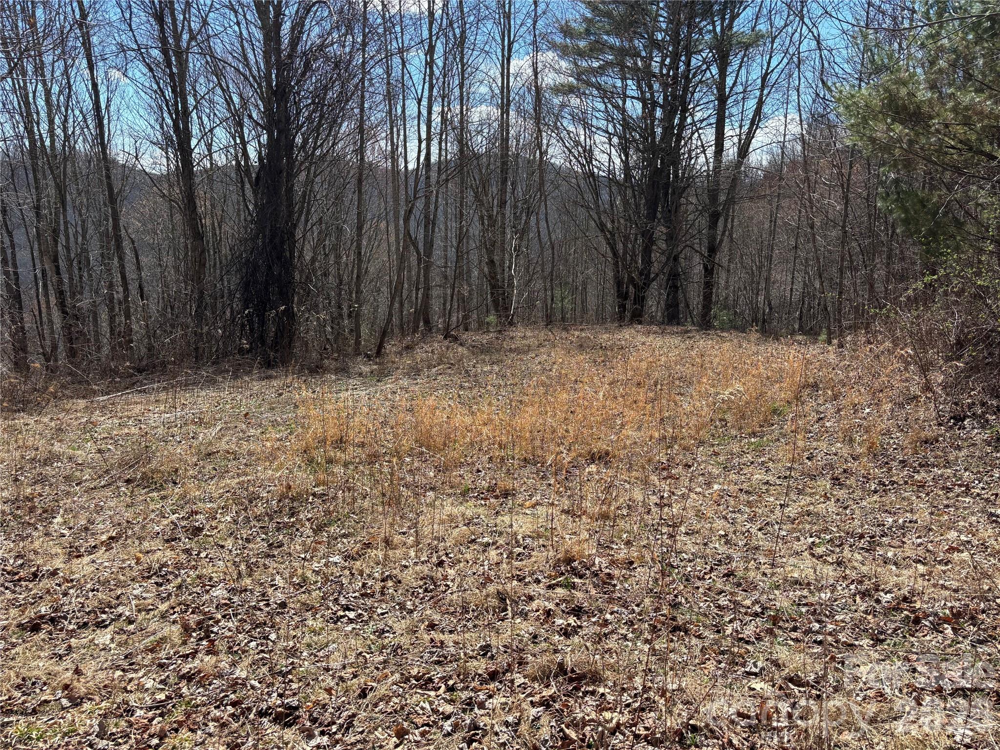 (North Lot) Meadow Fork Road Hot Springs NC 28743