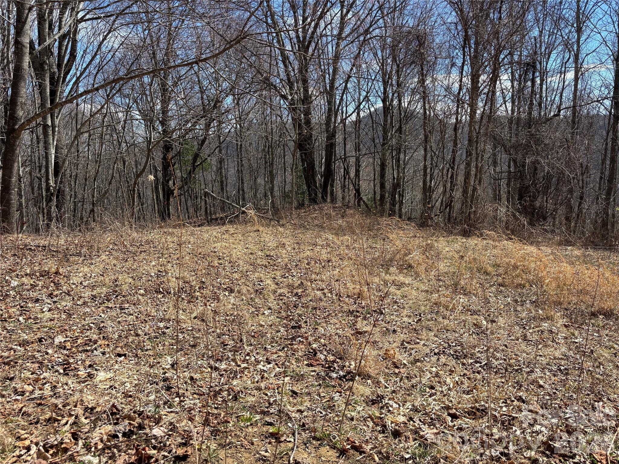 (North Lot) Meadow Fork Road Hot Springs NC 28743