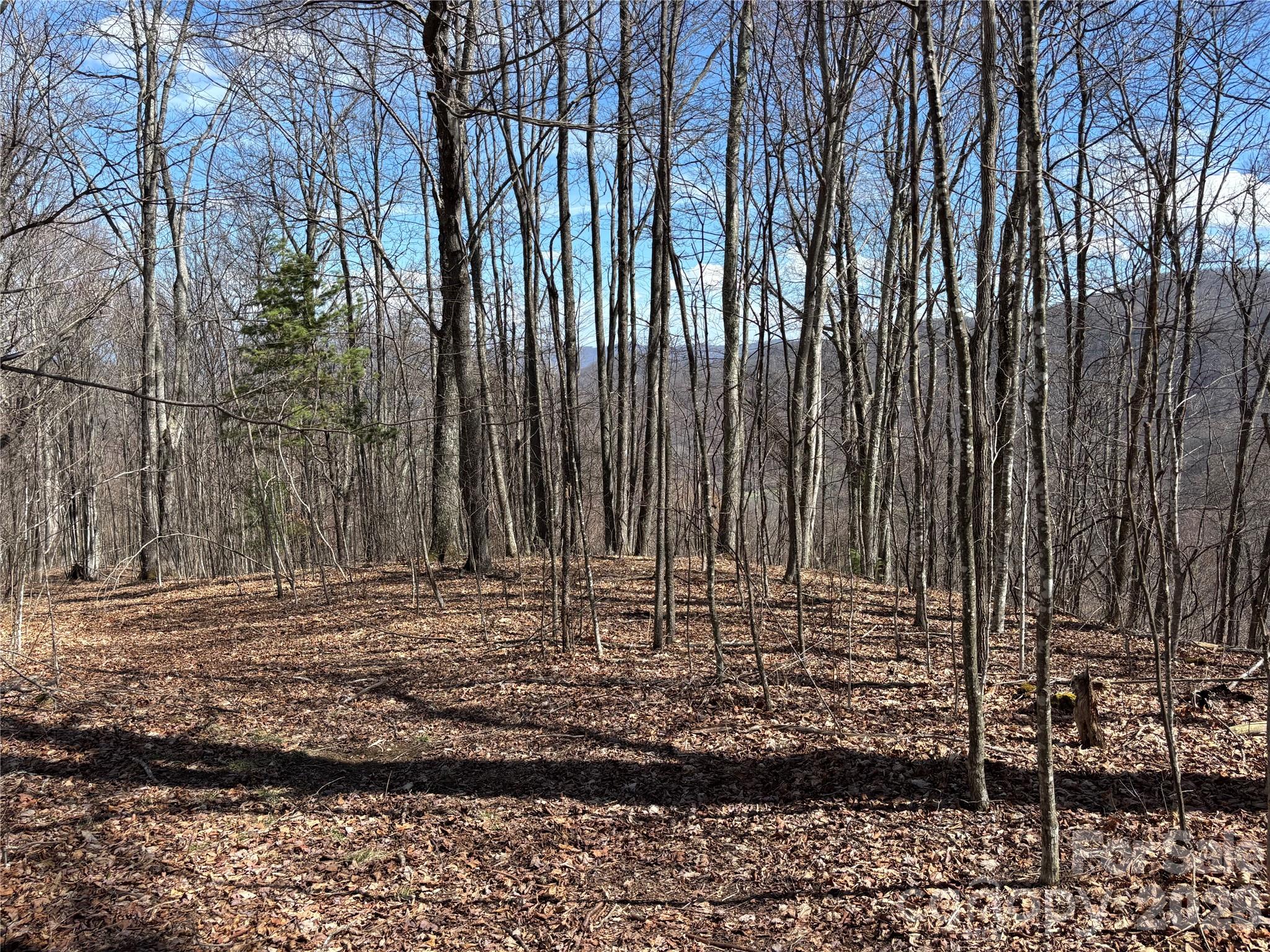 (North Lot) Meadow Fork Road Hot Springs NC 28743