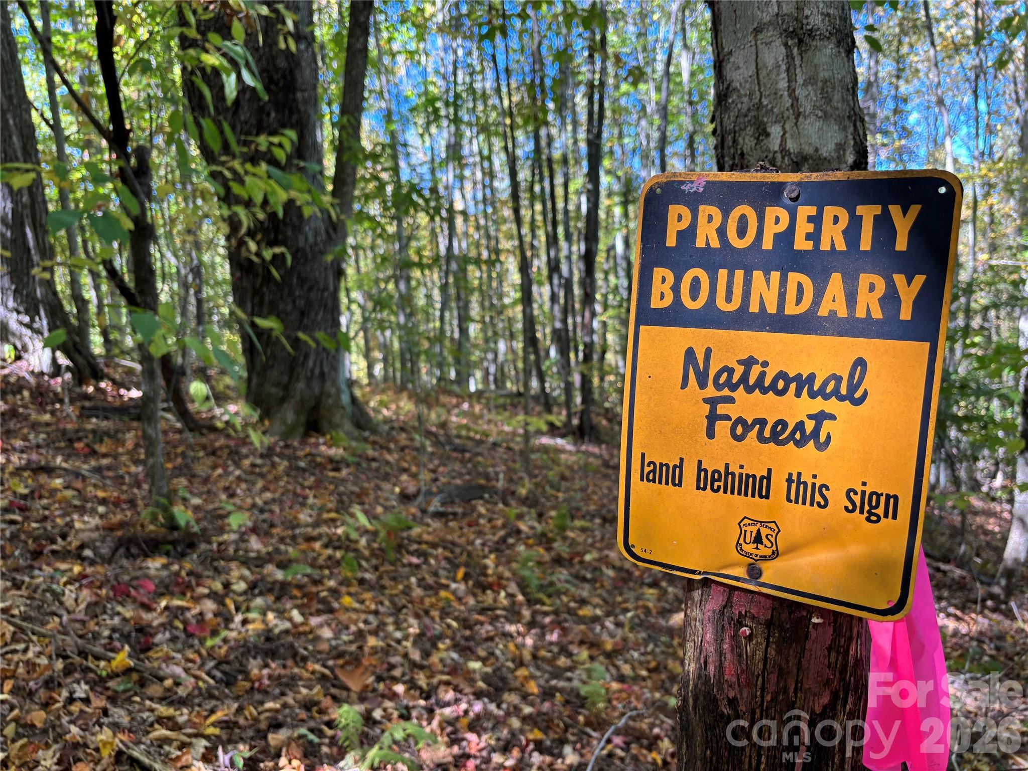 (North Lot) Meadow Fork Road Hot Springs NC 28743