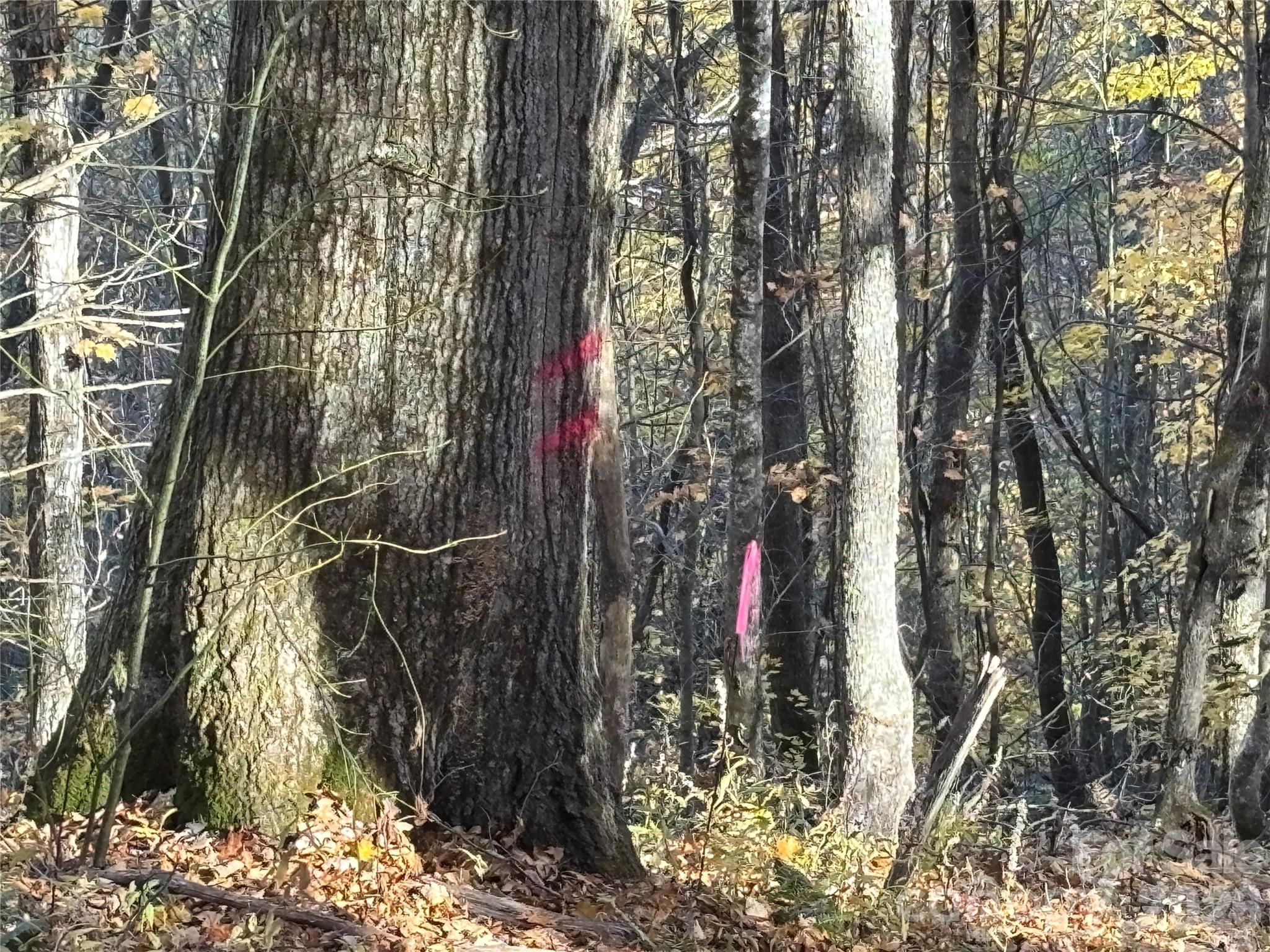 (North Lot) Meadow Fork Road Hot Springs NC 28743