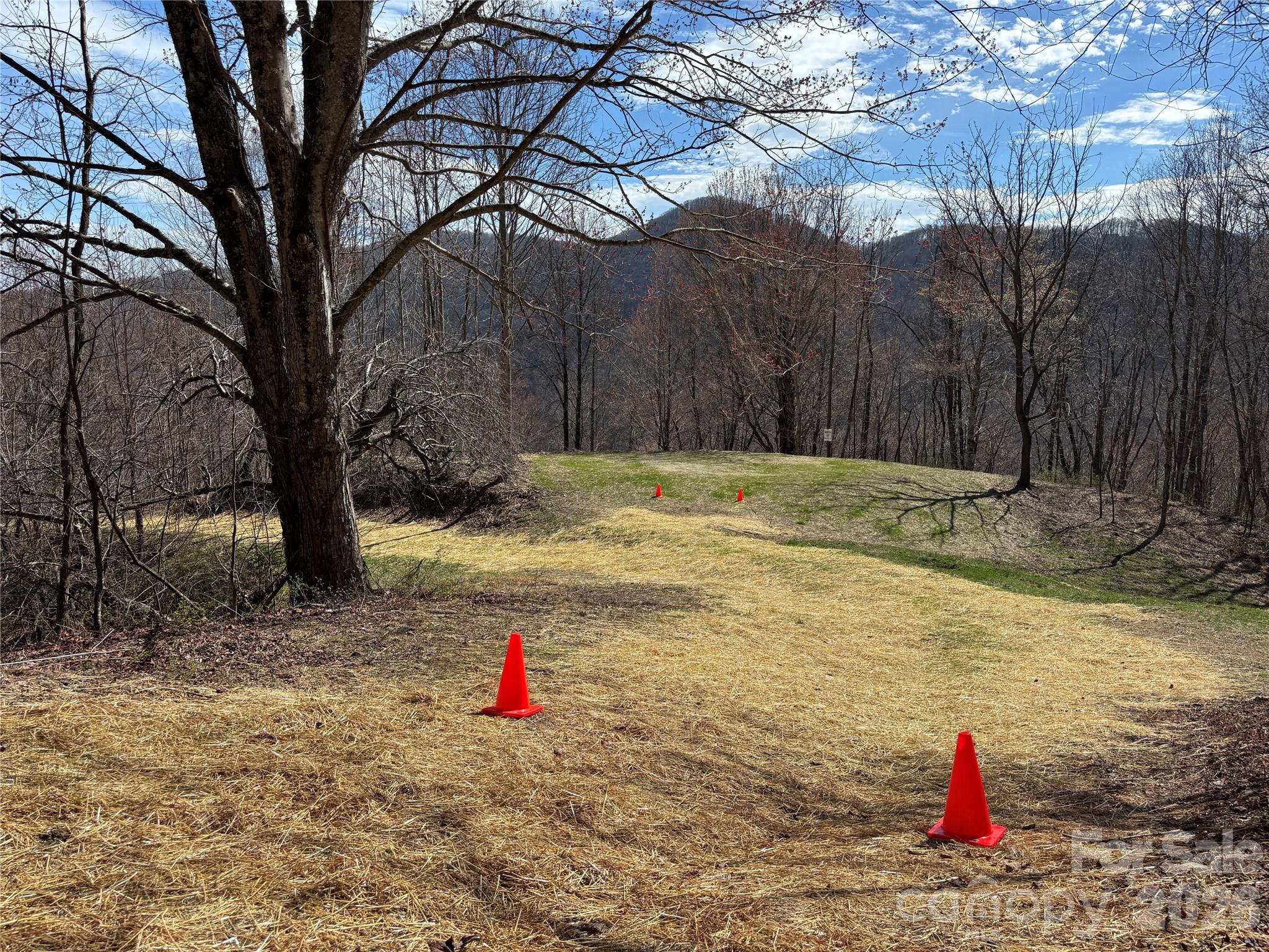 (North Lot) Meadow Fork Road Hot Springs NC 28743