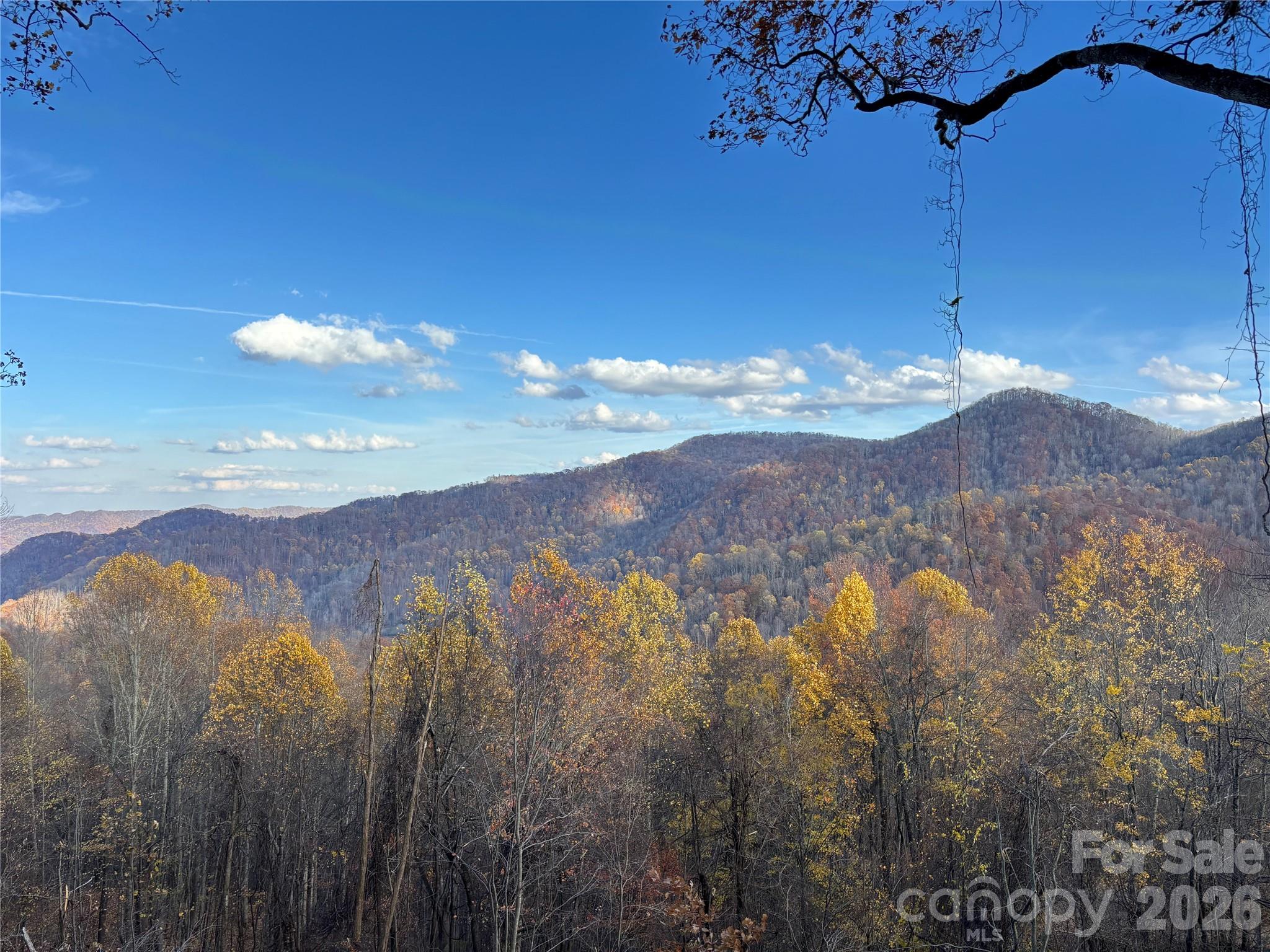 (North Lot) Meadow Fork Road Hot Springs NC 28743
