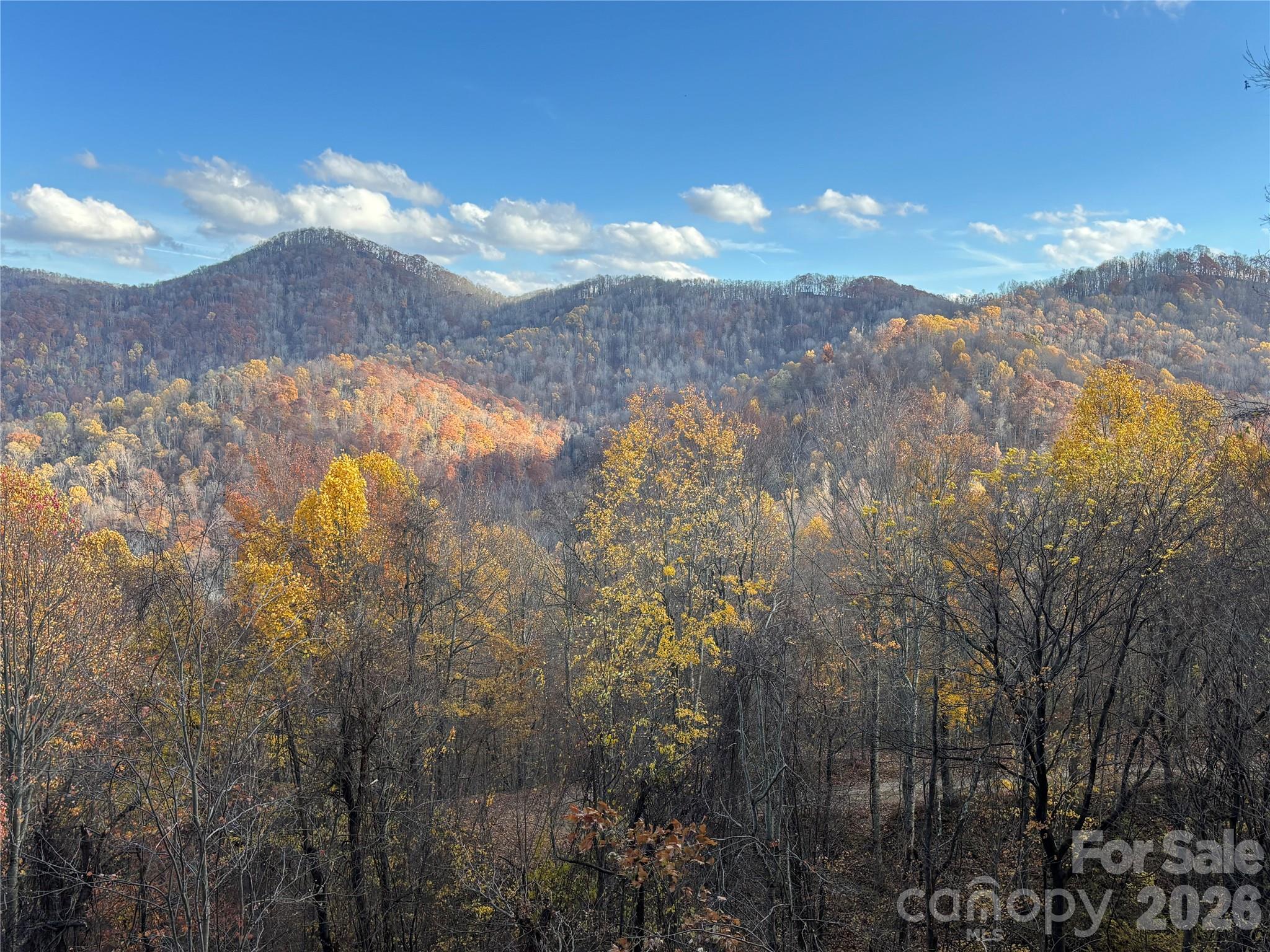 (North Lot) Meadow Fork Road Hot Springs NC 28743
