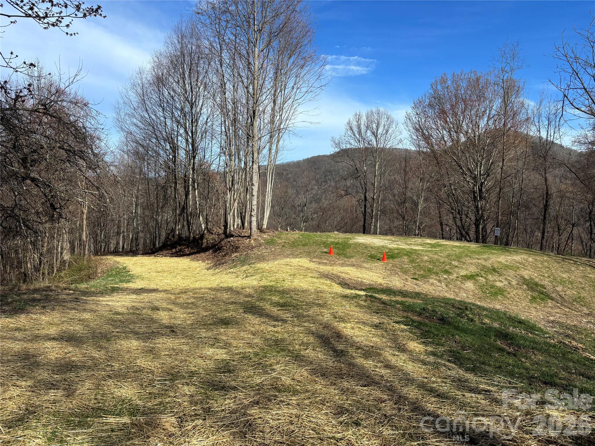 (North Lot) Meadow Fork Road Hot Springs NC 28743