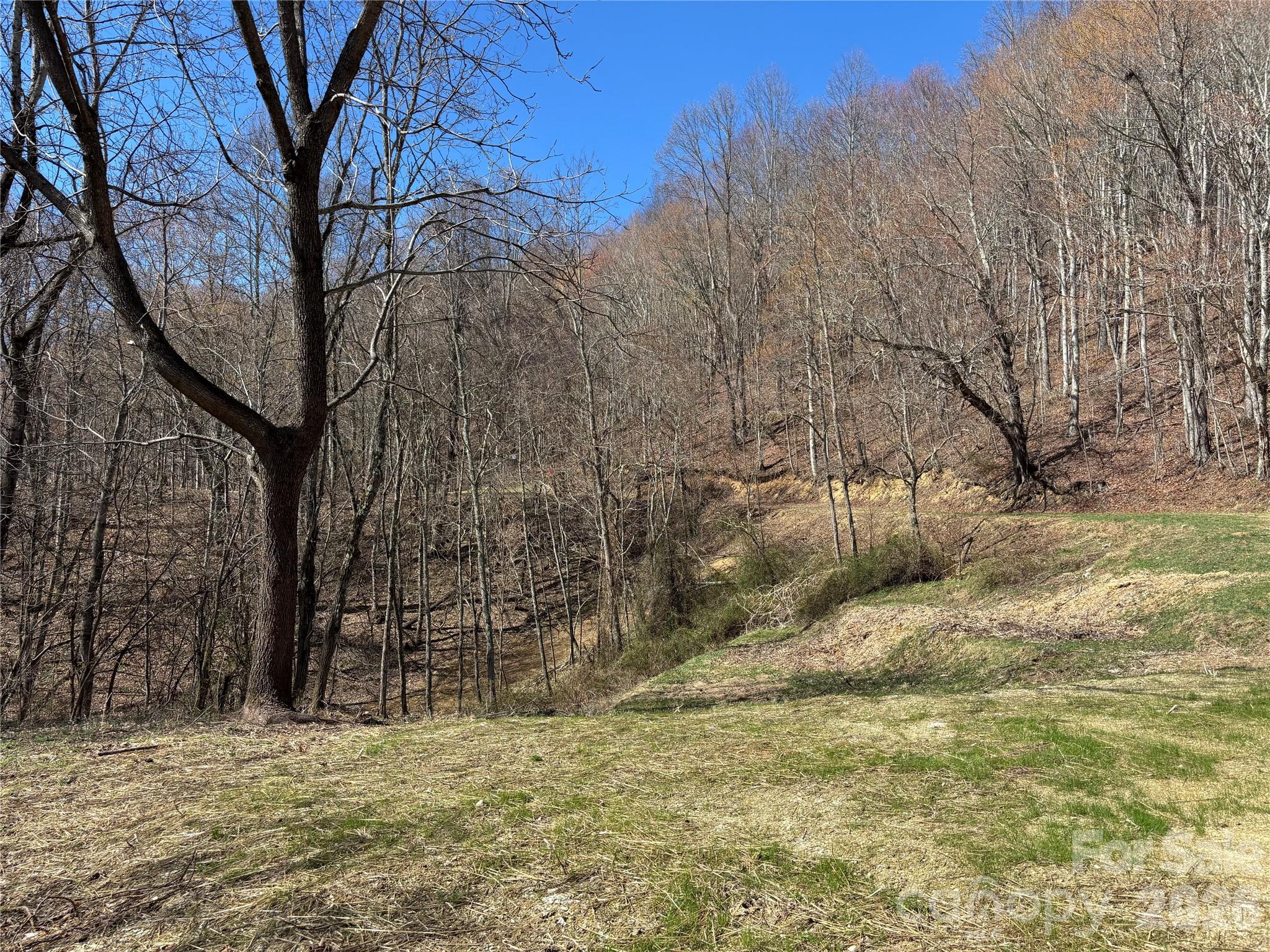 (North Lot) Meadow Fork Road Hot Springs NC 28743