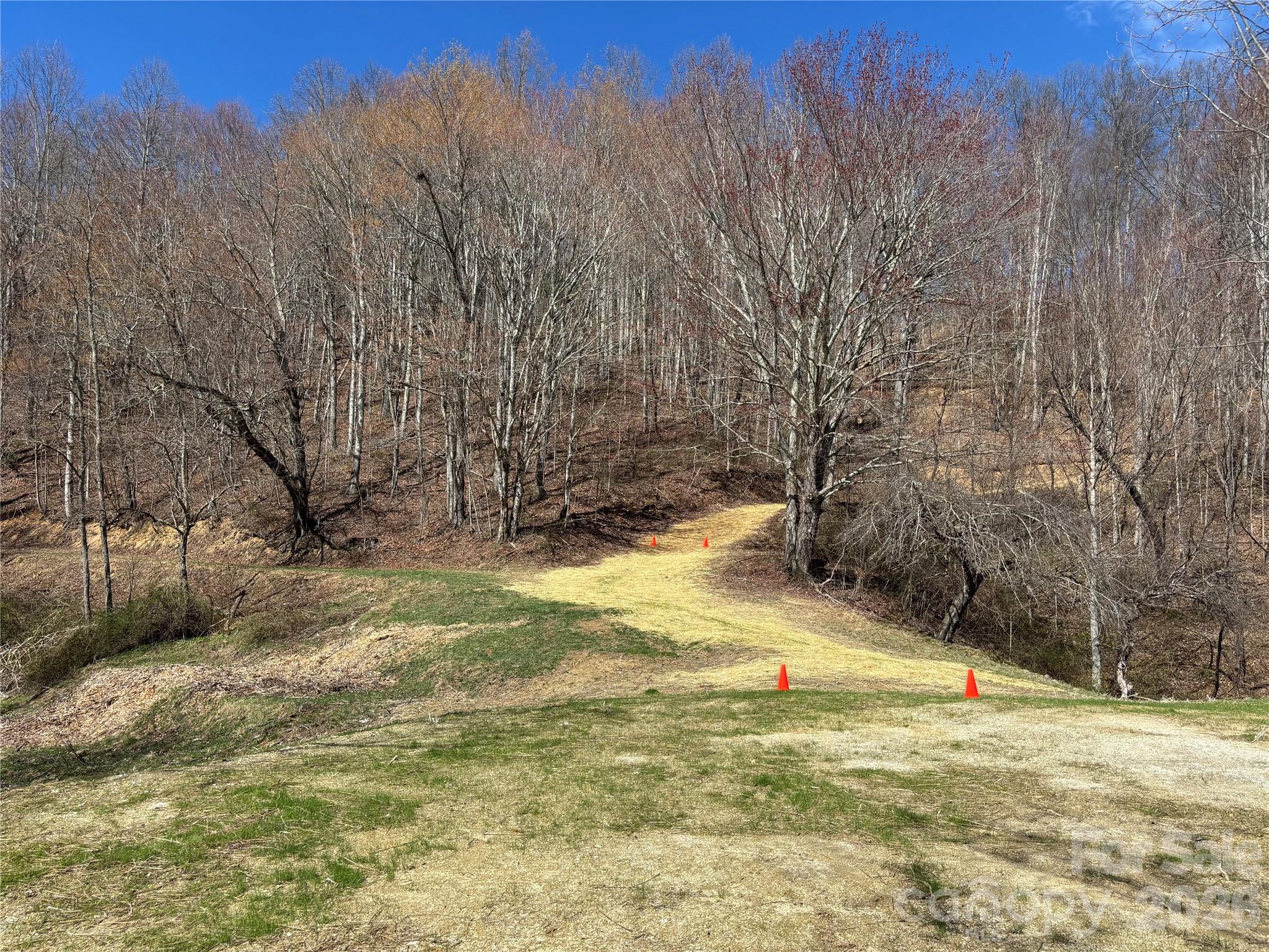 (North Lot) Meadow Fork Road Hot Springs NC 28743