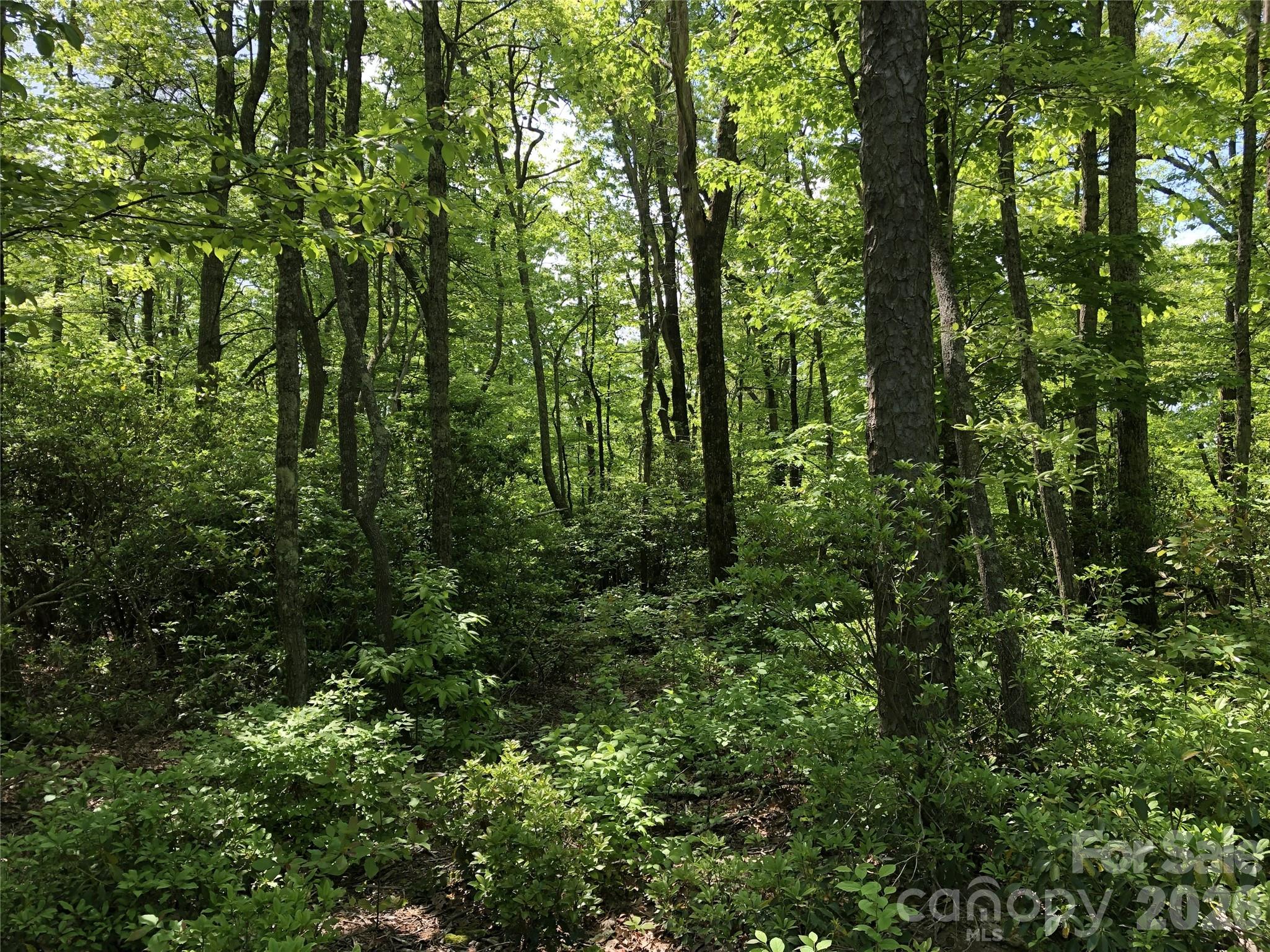 00 Millard Crossing Hendersonville NC 28792
