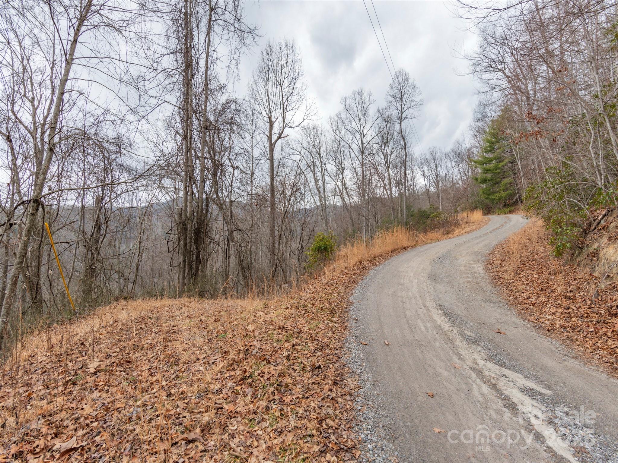 00 Cherry Berry Drive Waynesville NC 28785