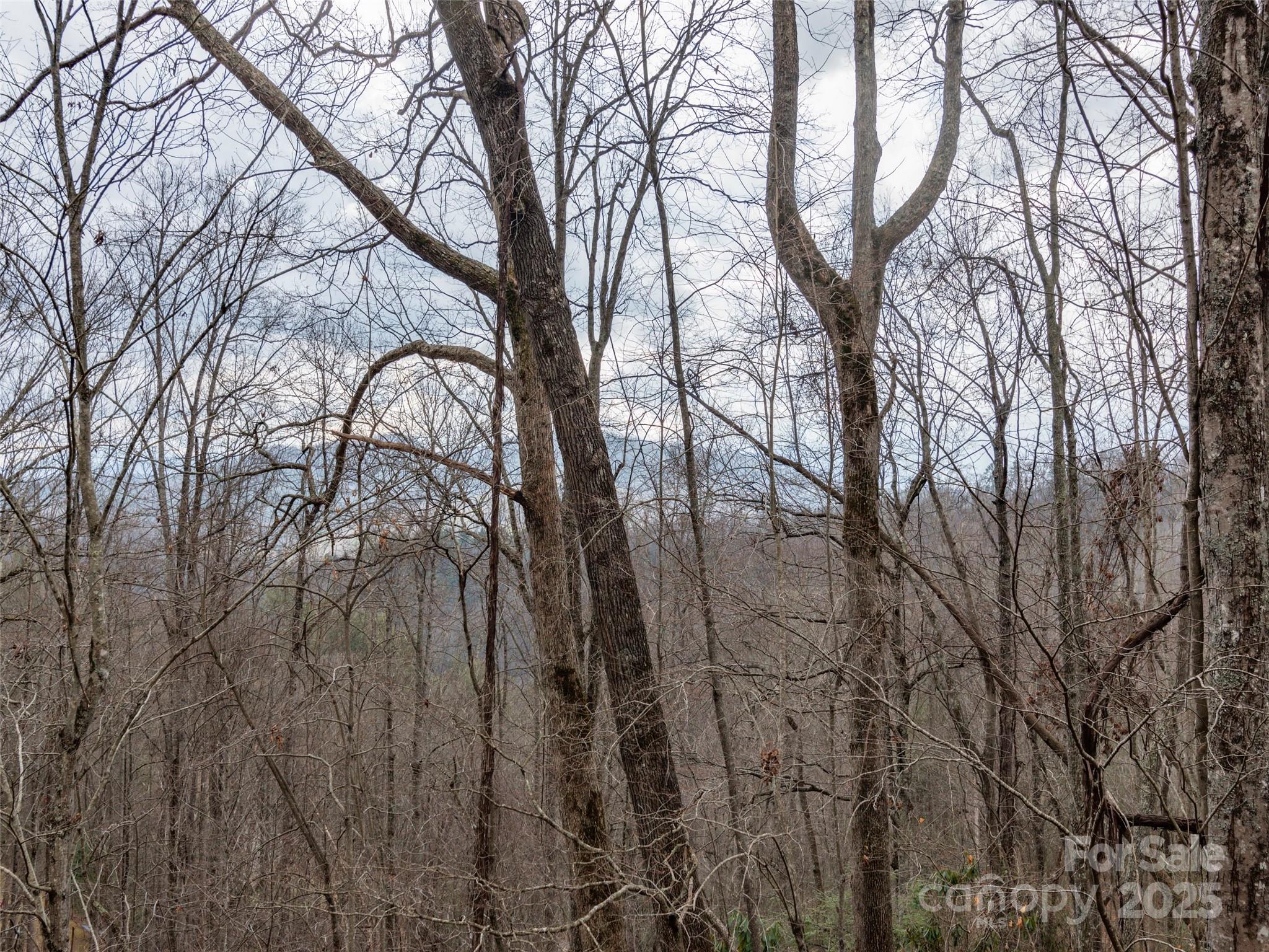 00 Cherry Berry Drive Waynesville NC 28785