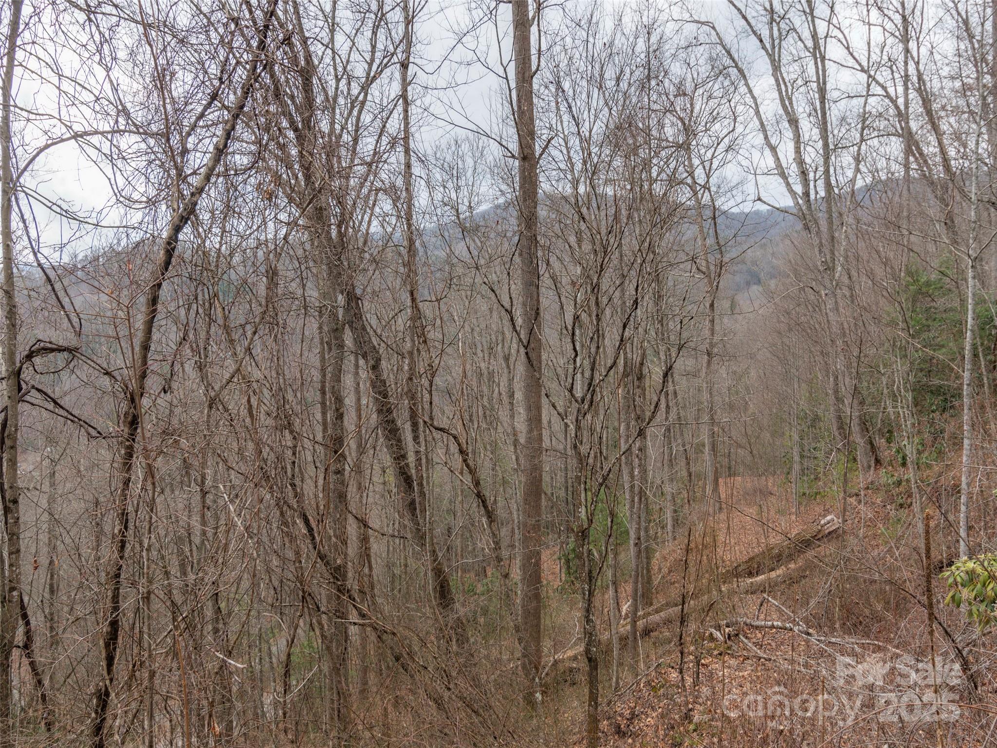 00 Cherry Berry Drive Waynesville NC 28785