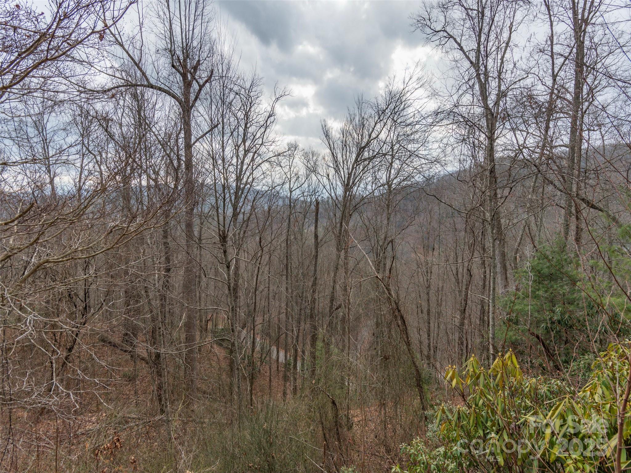00 Cherry Berry Drive Waynesville NC 28785