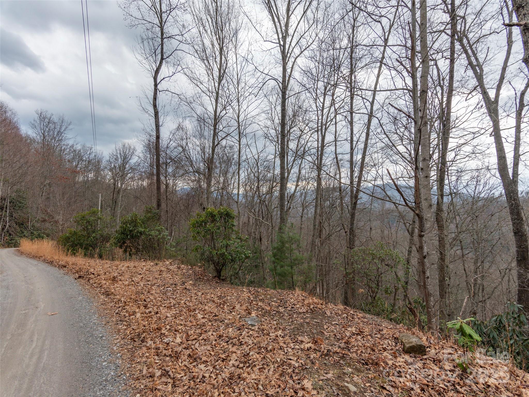 00 Cherry Berry Drive Waynesville NC 28785