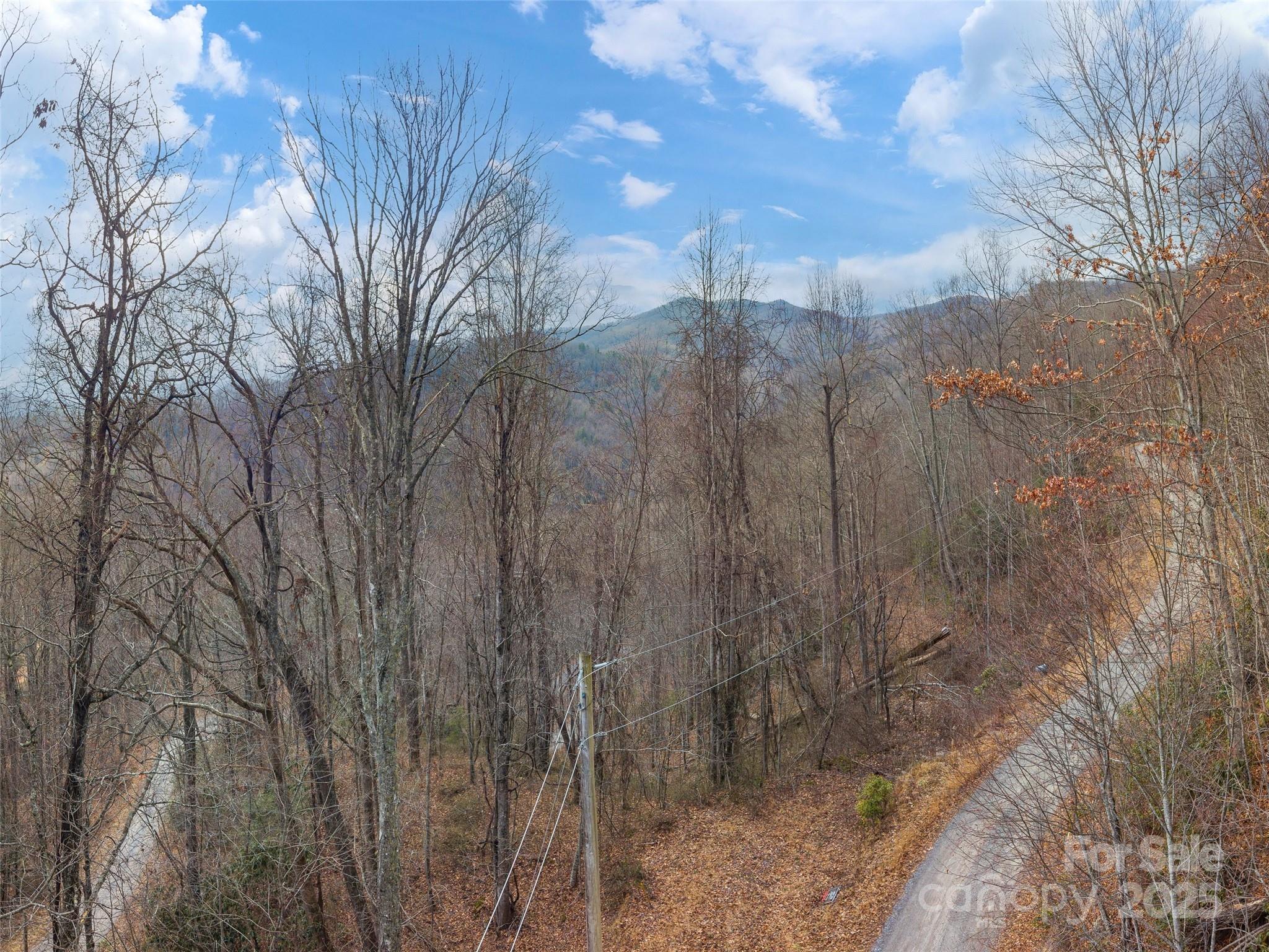 00 Cherry Berry Drive Waynesville NC 28785
