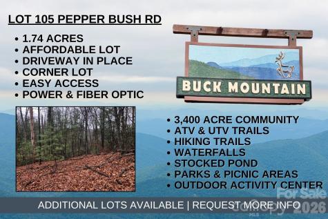 Tbd Pepper Bush Road Purlear NC 28665