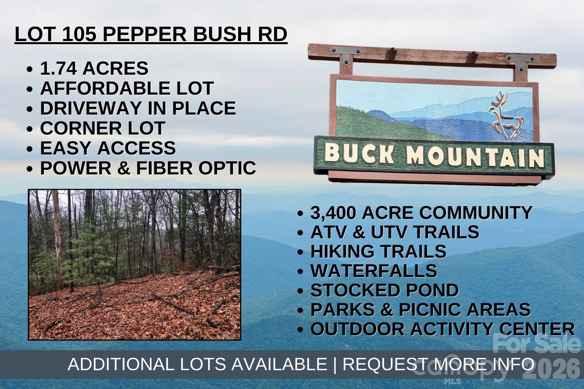 Tbd Pepper Bush Road Purlear NC 28665