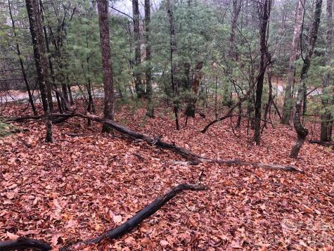 Tbd Pepper Bush Road Purlear NC 28665