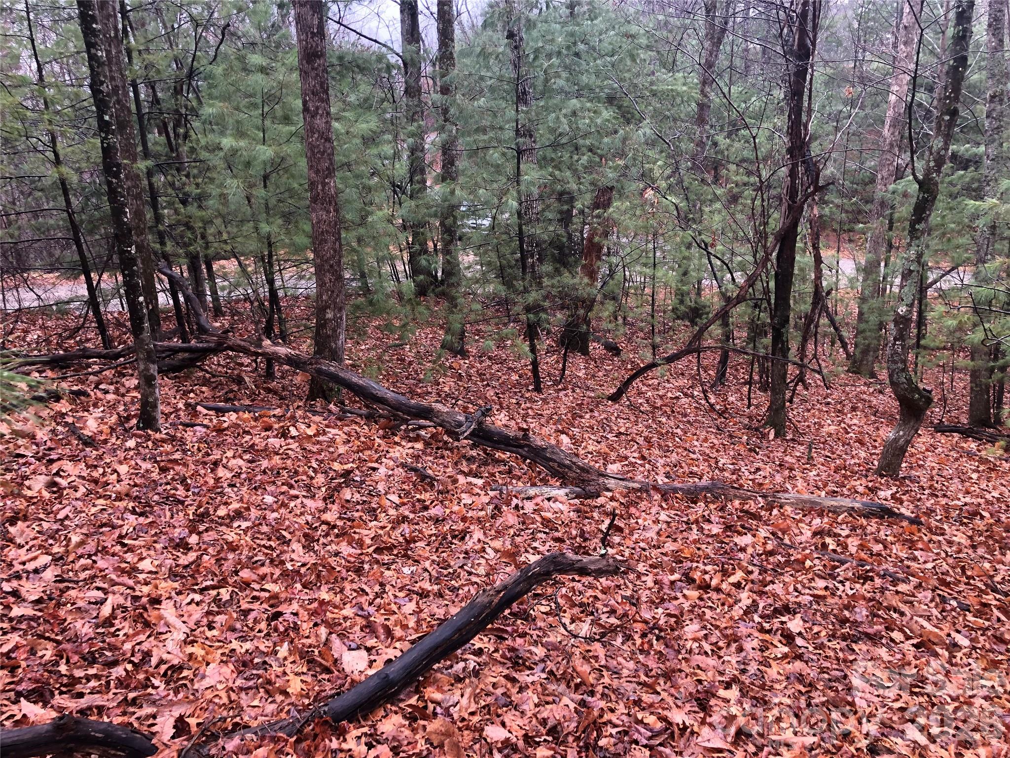 Tbd Pepper Bush Road Purlear NC 28665
