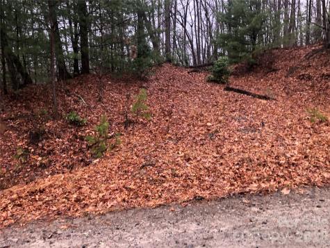 Tbd Pepper Bush Road Purlear NC 28665