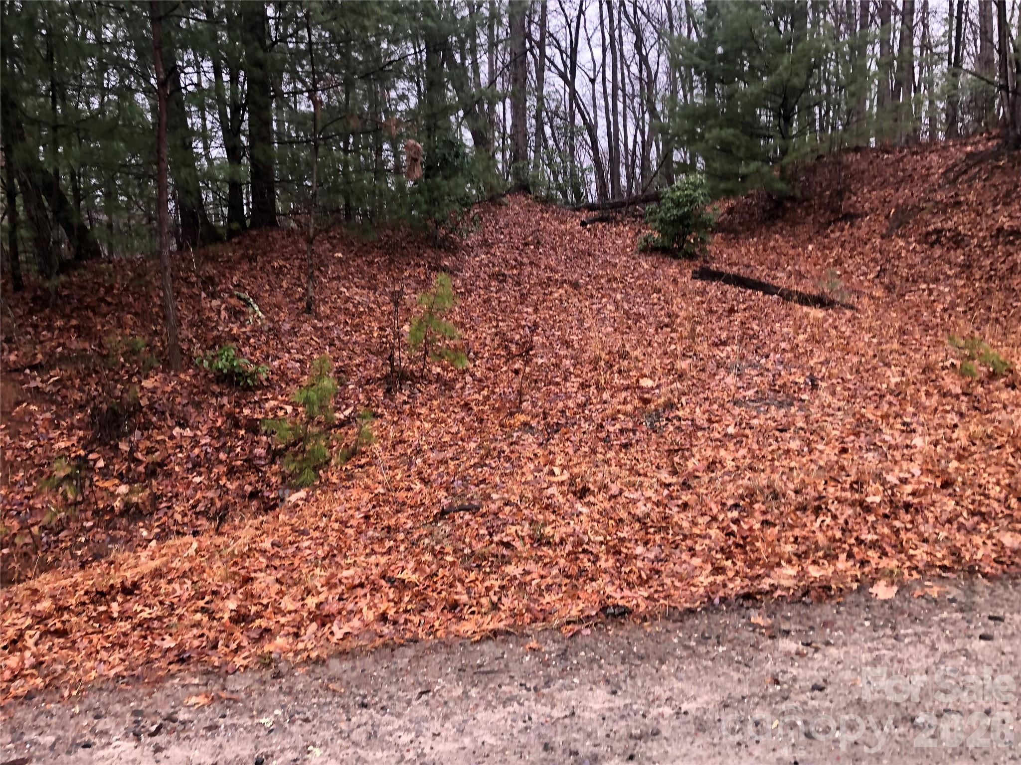 Tbd Pepper Bush Road Purlear NC 28665