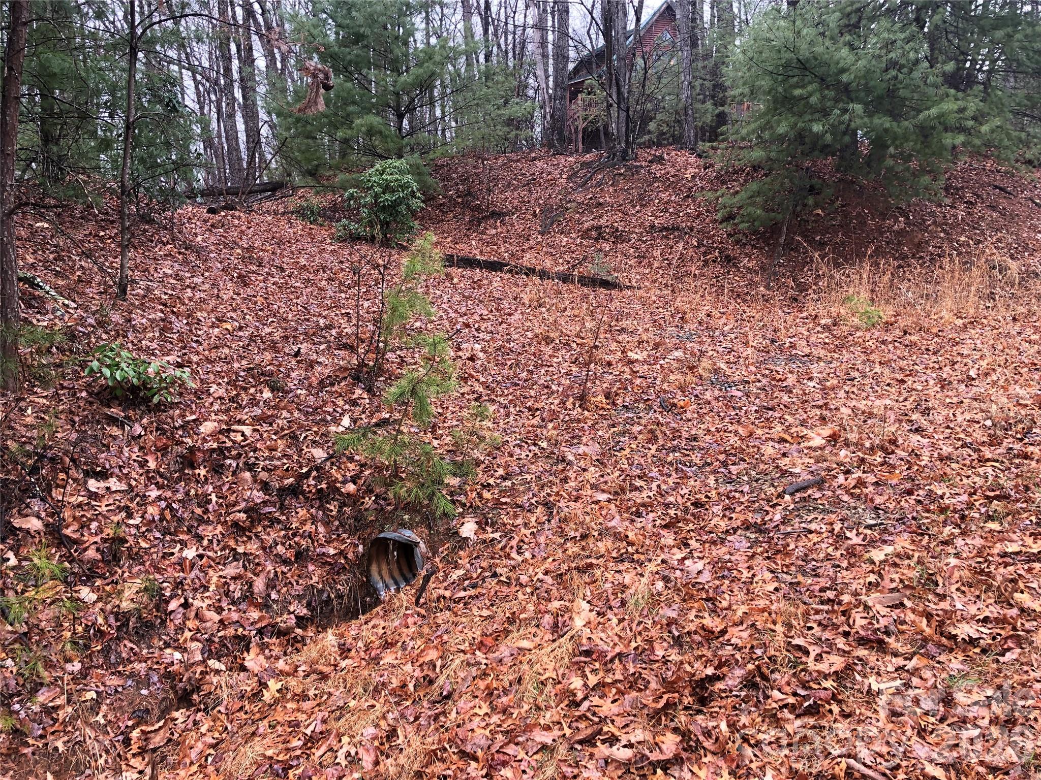 Tbd Pepper Bush Road Purlear NC 28665