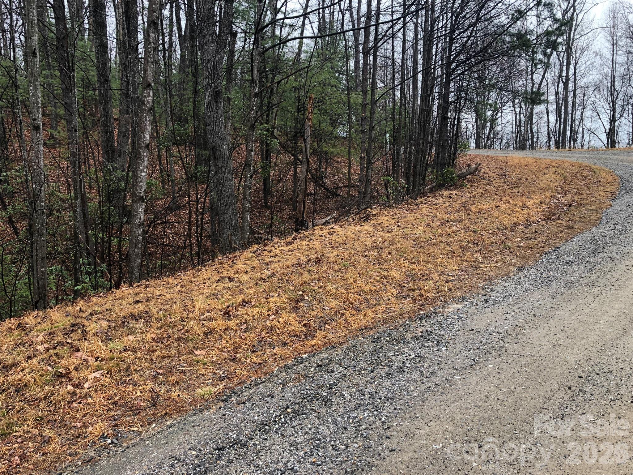 Tbd Pepper Bush Road Purlear NC 28665