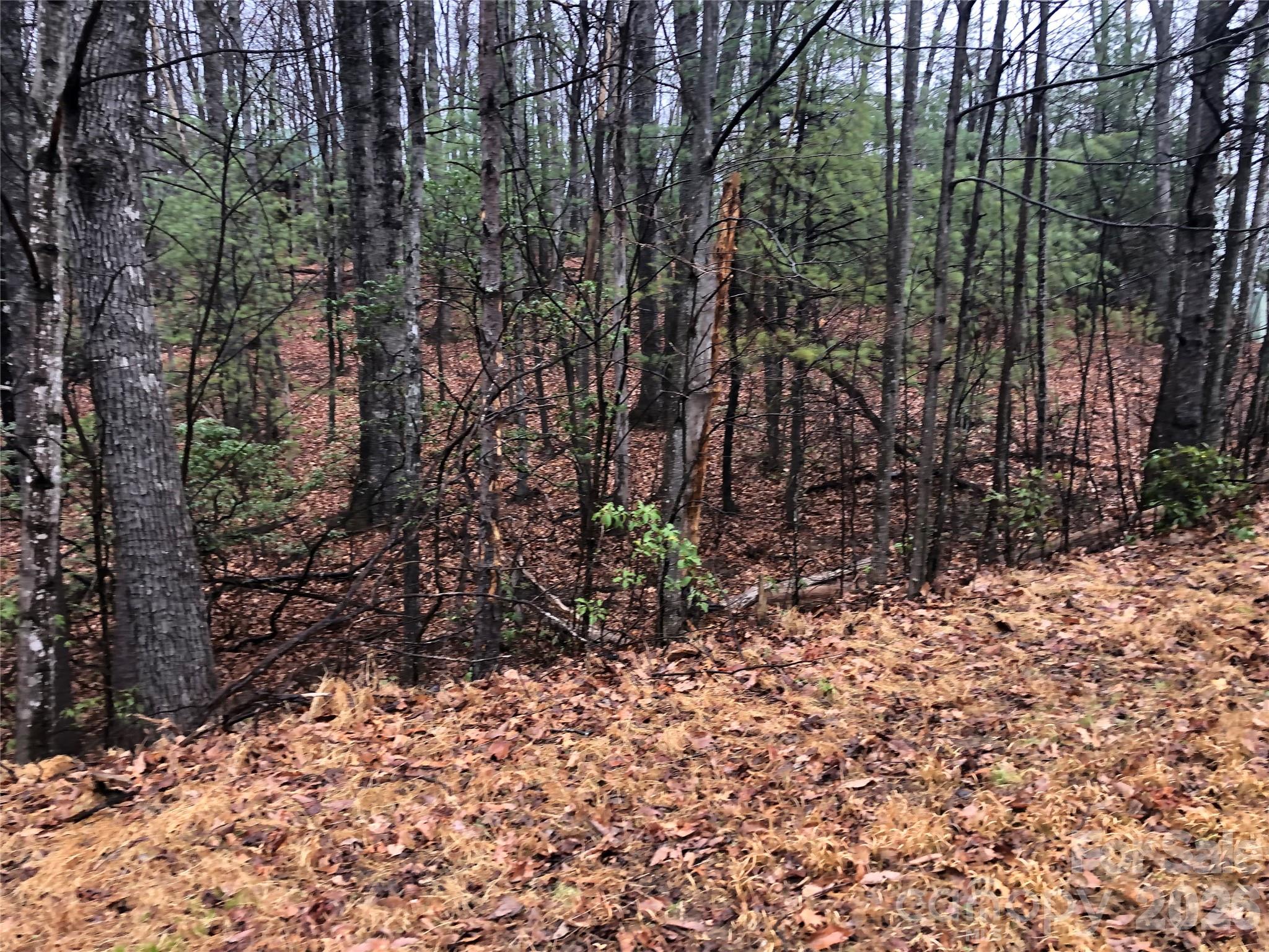 Tbd Pepper Bush Road Purlear NC 28665