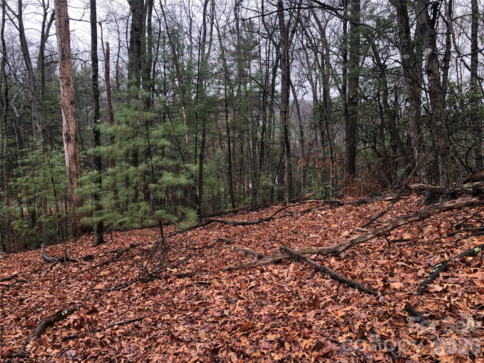 Tbd Pepper Bush Road Purlear NC 28665