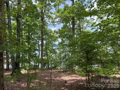 14528 Maritime Drive Lancaster SC 29720