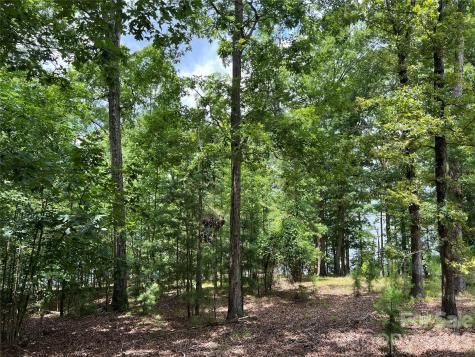 14528 Maritime Drive Lancaster SC 29720