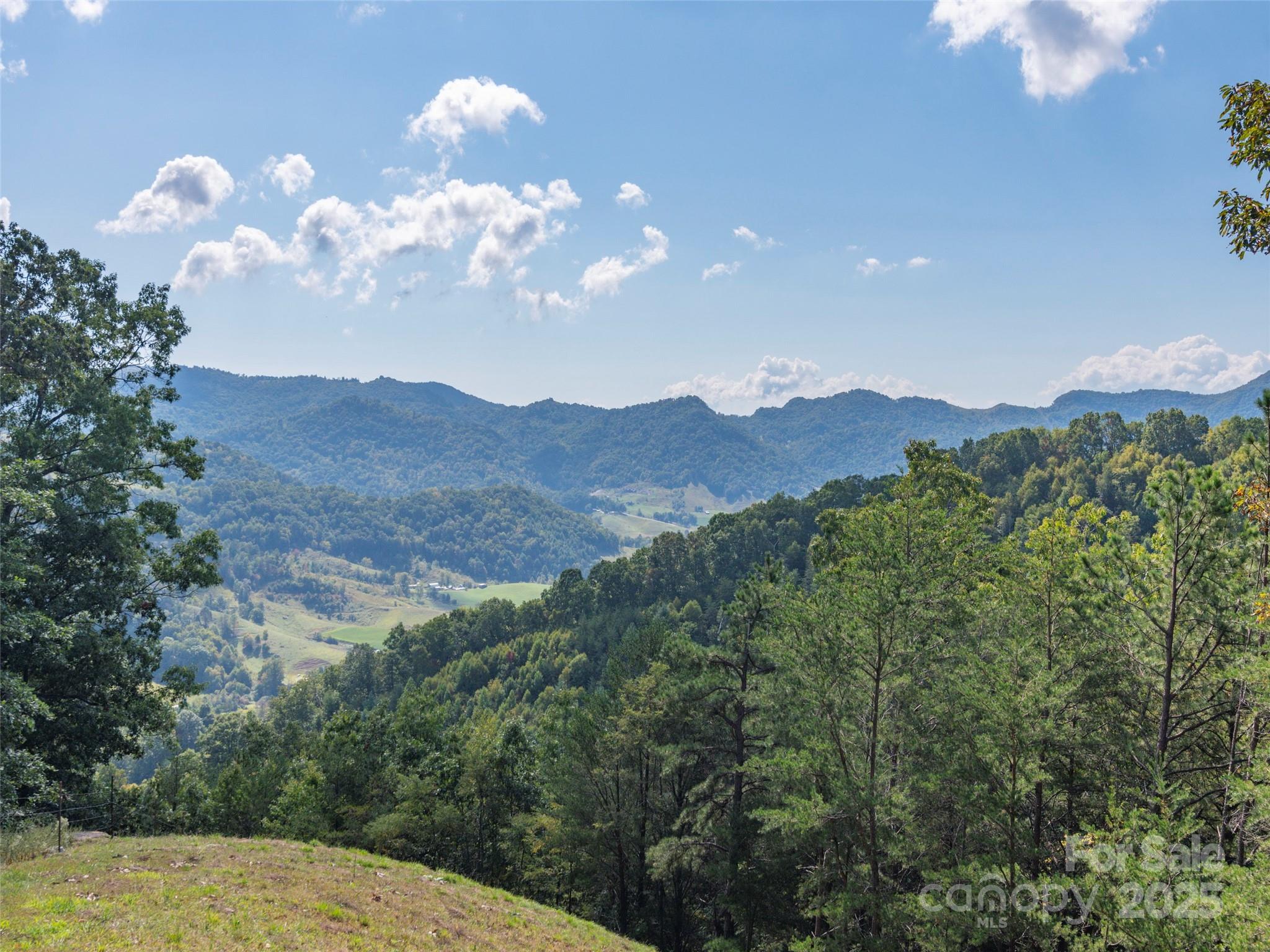 0 Clark Road Clyde NC 28721