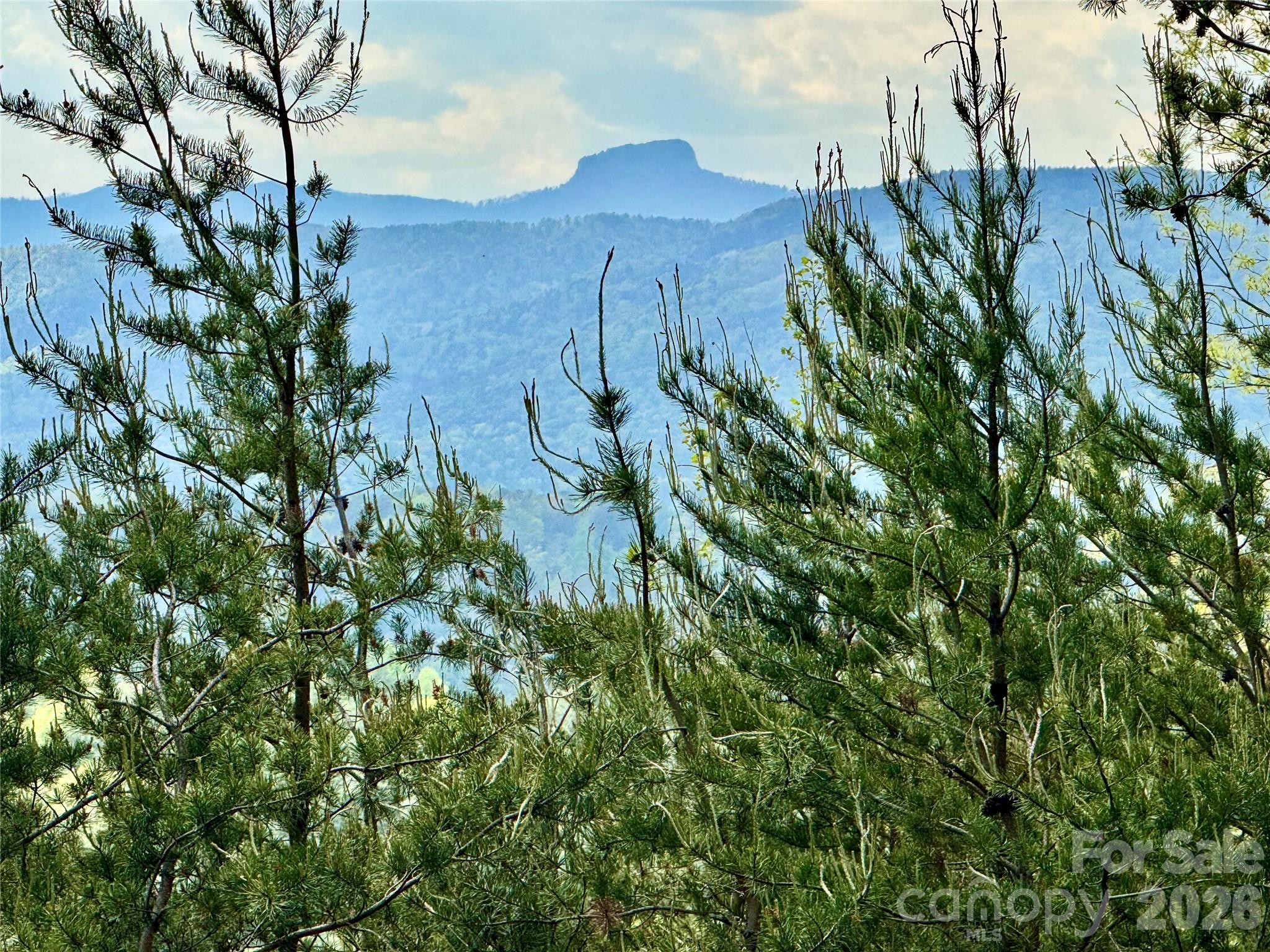 Lot 161/162 Rocky Falls Lane Lenoir NC 28645