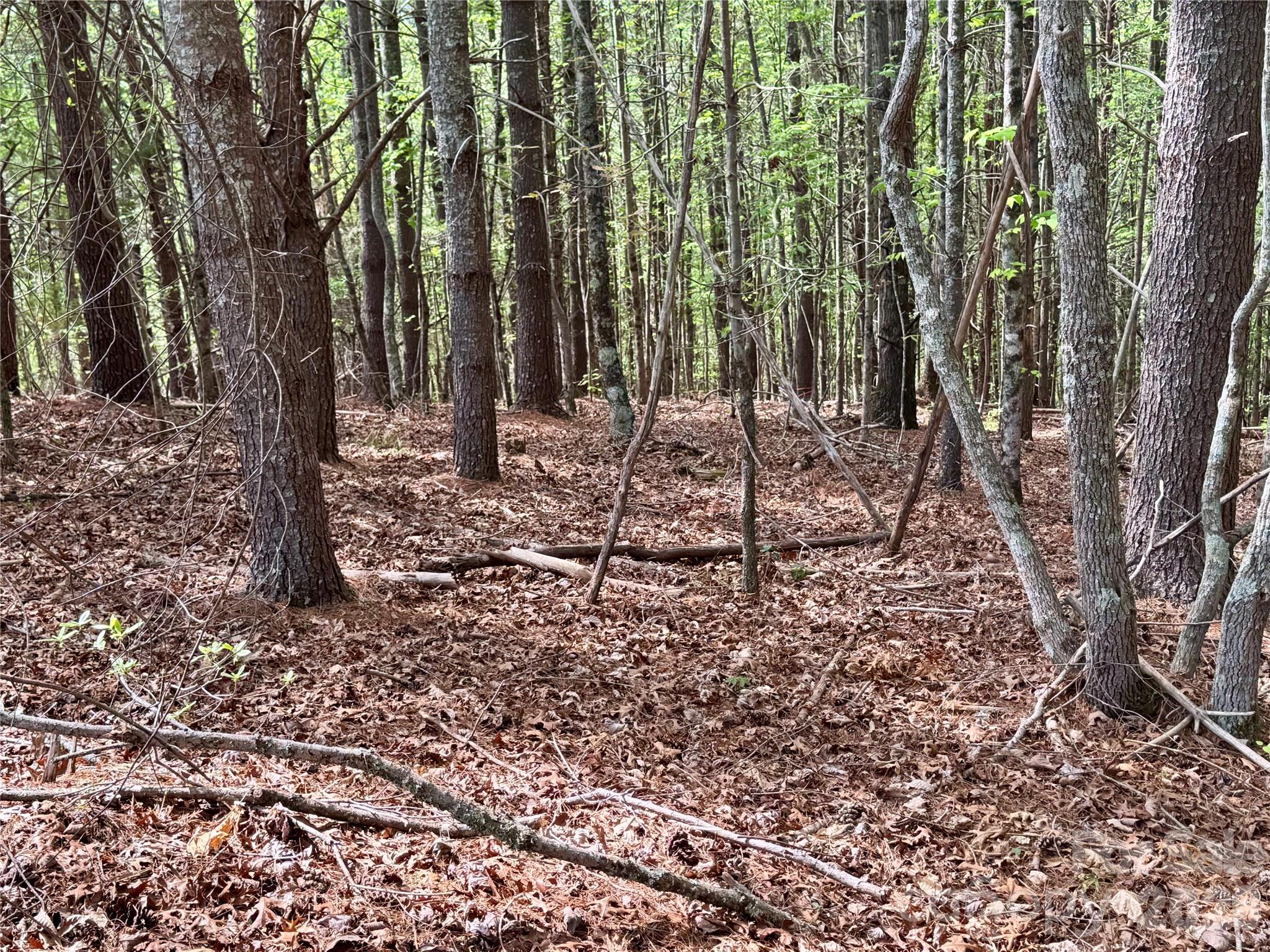 Lot 161/162 Rocky Falls Lane Lenoir NC 28645