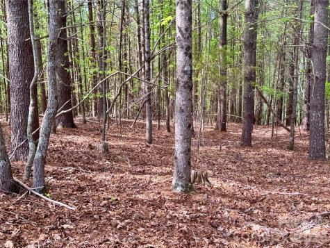 Lot 161/162 Rocky Falls Lane Lenoir NC 28645