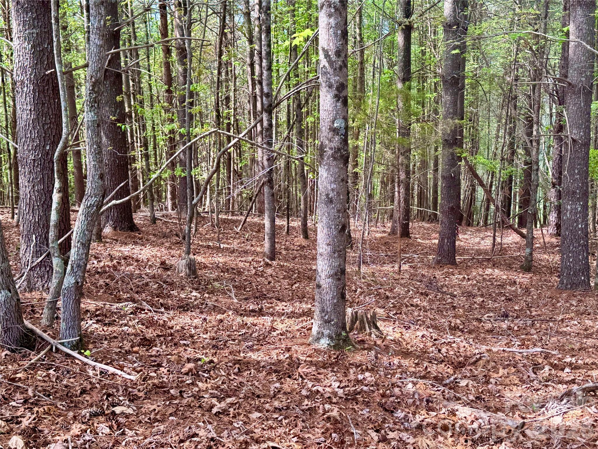 Lot 161/162 Rocky Falls Lane Lenoir NC 28645