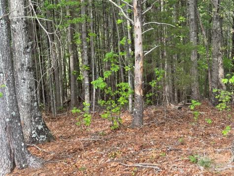 Lot 161/162 Rocky Falls Lane Lenoir NC 28645