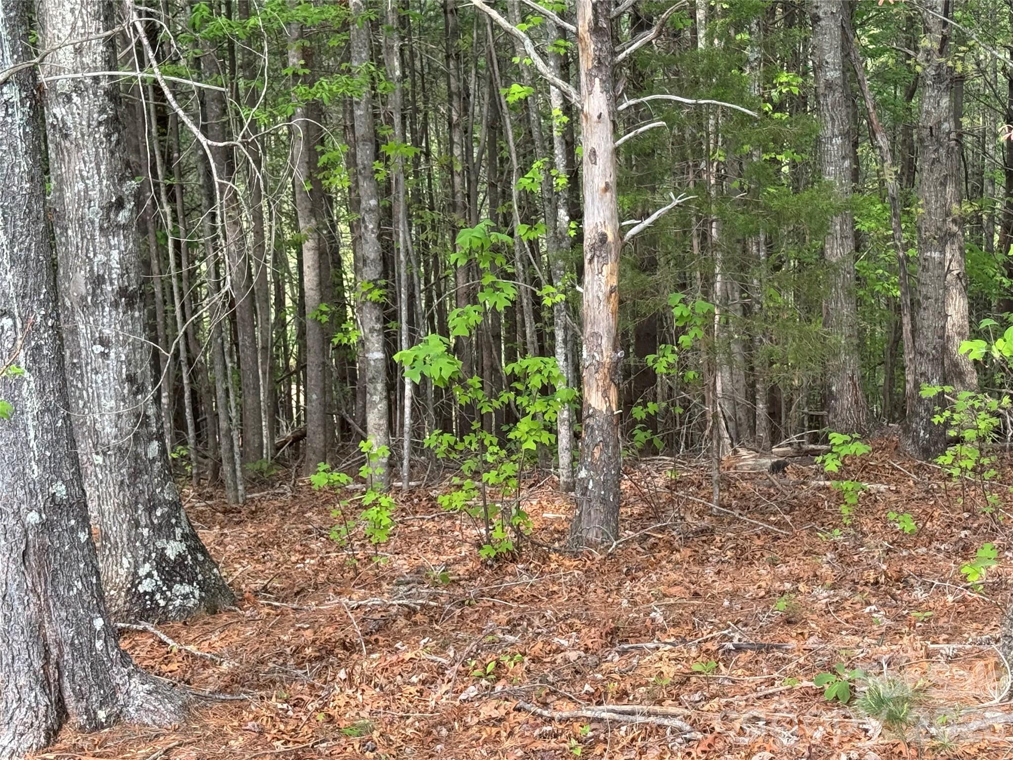 Lot 161/162 Rocky Falls Lane Lenoir NC 28645