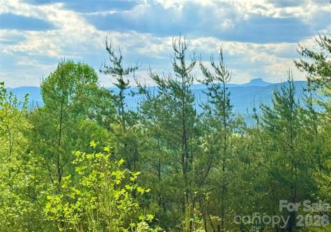 Lot 161/162 Rocky Falls Lane Lenoir NC 28645