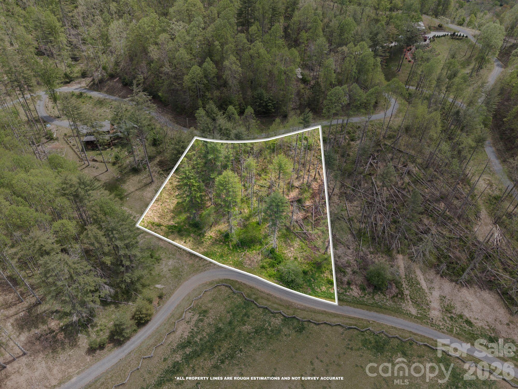 00000 White Pine Lane Bakersville NC 28705