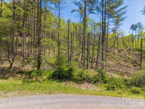 00000 White Pine Lane Bakersville NC 28705