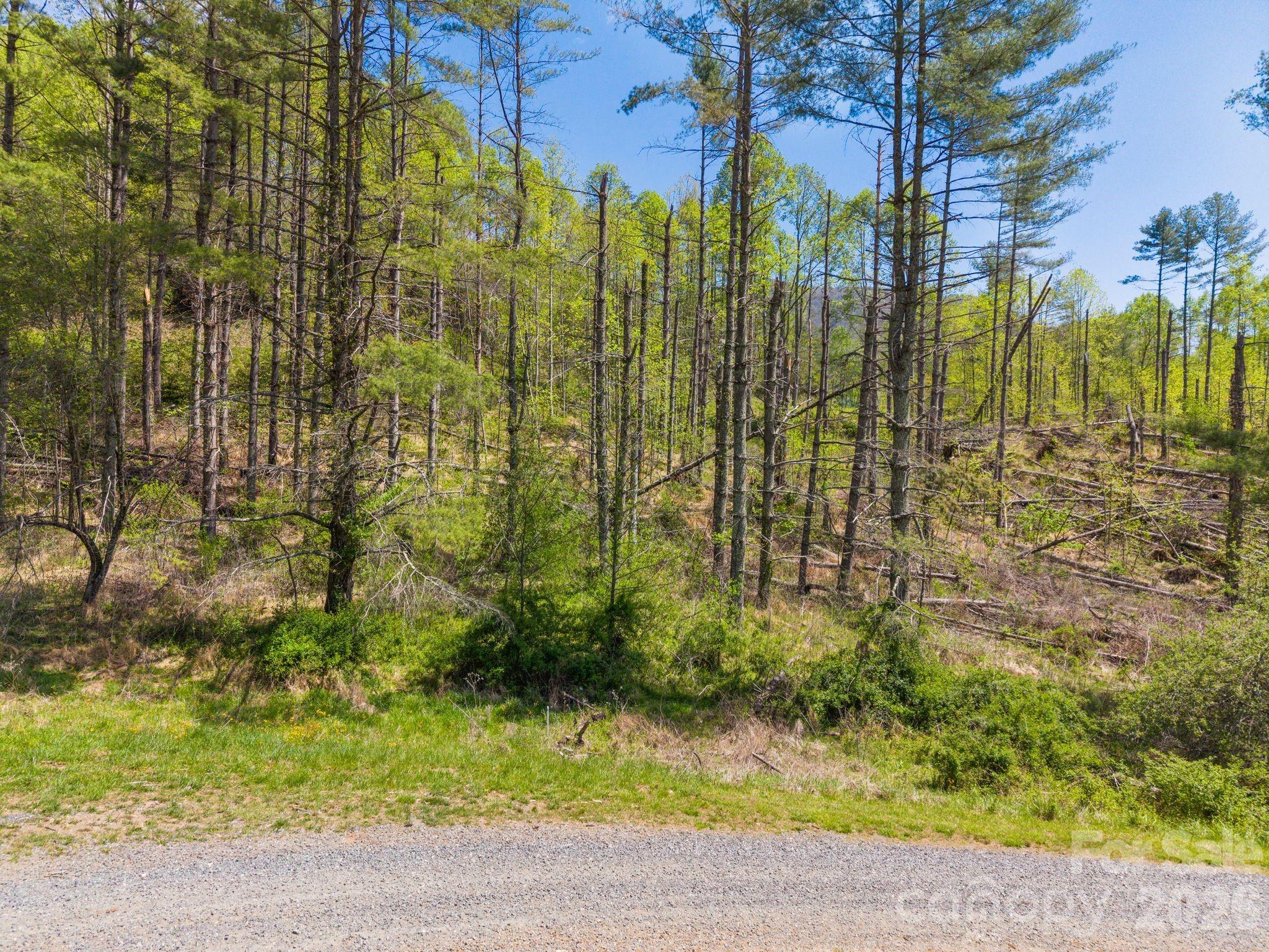 00000 White Pine Lane Bakersville NC 28705
