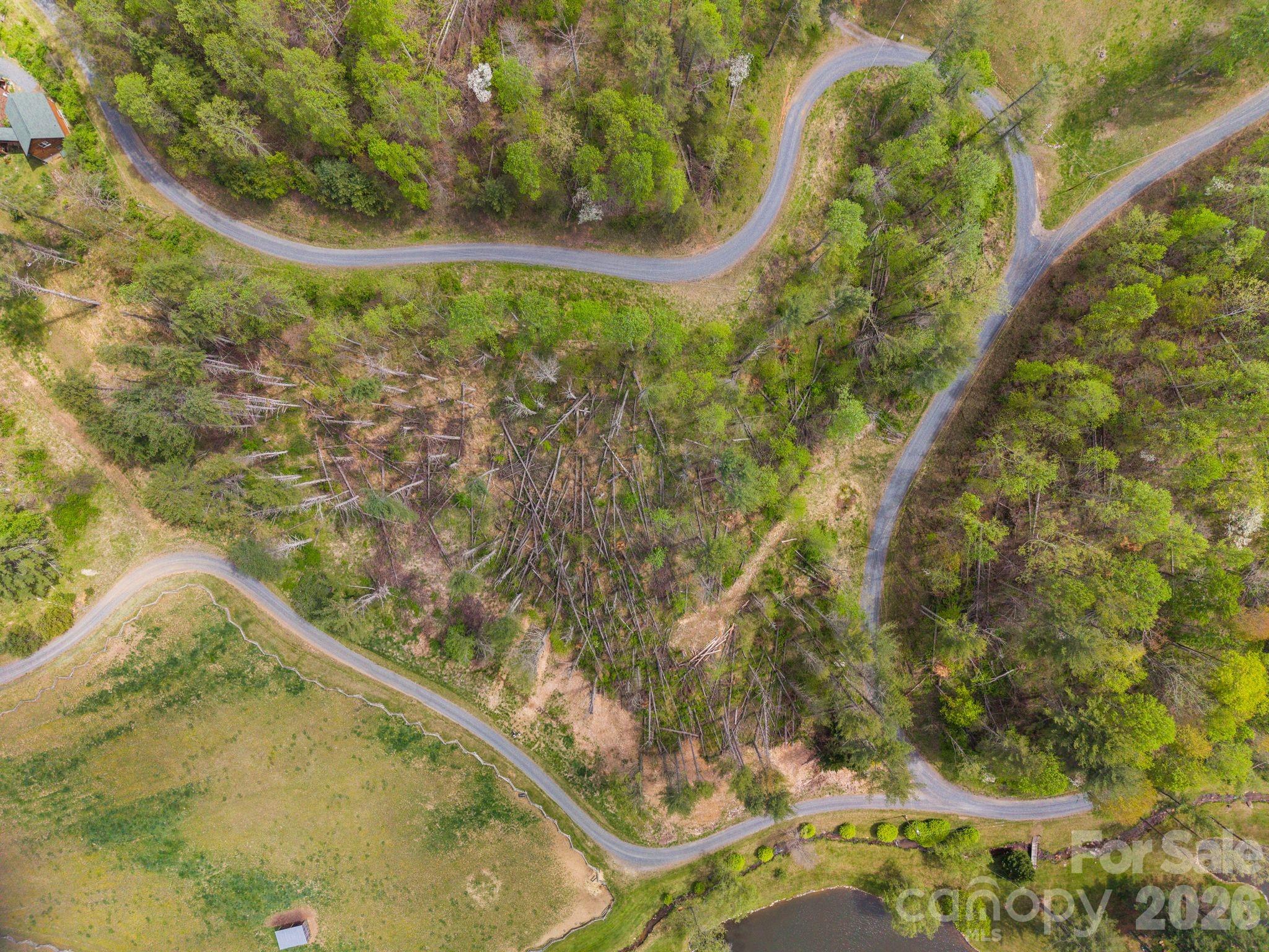 00000 White Pine Lane Bakersville NC 28705